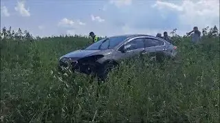 Смерть в конопляном поле | Death in the hemp field