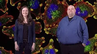 Bioimage Analysis 1: The Basics: Getting Started (Anne Carpenter and Kevin Eliceiri)