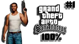 🔴 ПРОХОДИМ GTA SAN ANDREAS НА 100% | ОБЩЕНИЕ СО ЗРИТЕЛЯМИ | #1 (8)