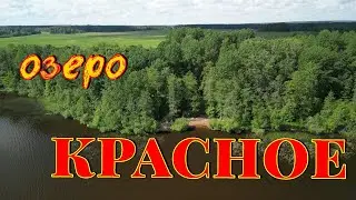 Оз. Красное. Лен. обл. Фидер. Июнь 2024г.