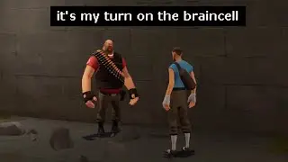 TF2 players share the same braincell