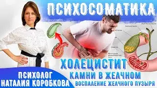 От чего КАМНИ В ЖЕЛЧНОМ ПУЗЫРЕ/ХОЛЕЦИСТИТ: причины, лечение