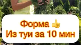 ✅ФОРМА ИЗ ТУИ ЗА 10 минут.