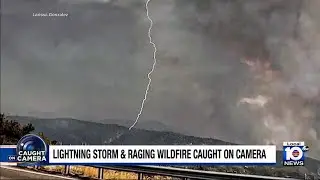 Fierce thunderstorm, raging wildlife collide in California