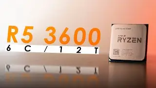 Ryzen 5 3600 in 2024 - Best Budget CPU to Buy Right Now