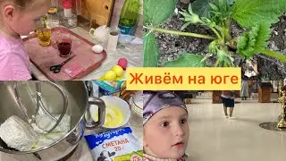 Дом на юге🏠1️⃣7️⃣9️⃣На службу🙏Крашенки🥚Самая вкусная и простая ТВОРОЖНАЯ ПАСХА без яиц.🌟Готовим