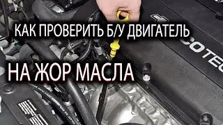 Причины жора масла на АВТО, и как это исправить!!