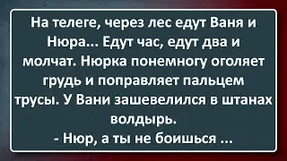 На Телеге через Лес! Сборник Изумрудных Анекдотов №127