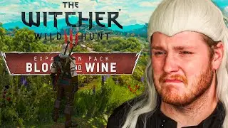 I finished the Witcher 3 & I'm depressed