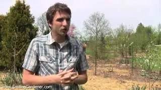 Some Permaculture Principles To Help You Design Your Garden