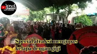 Terbaru lagi new turonggo budoyo live mangunan . Special atraksi mengupas kelapa dengan gigi