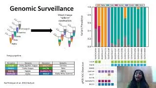 Using wastewater to monitor COVID-19