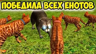 😻Симулятор КОТА и КОШКИ🐾 ПОБЕДИЛА всех ЕНОТОВ в СИМЕ cat sim