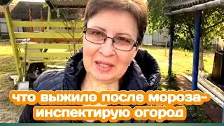 ПРОГУЛЯЛАСЬ ПО УБИТОМУ ОГОРОДУ, ОСВЕЖАЮЩИЙ НАПИТОК А-ЛЯ МАХИТО, СДЕЛАЛА СИНИЕ НОГТИ/ ЖИЗНЬ В ДЕРЕВНЕ