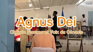 Agnus Dei - Chorale Flamme et Voix du Cénacle