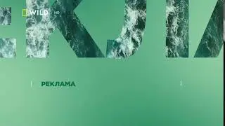 Nat Geo Wild HD Реклама