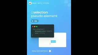 The selection pseudo element in CSS 🔥