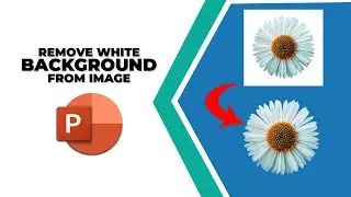 how to remove white background from an image in PowerPoint