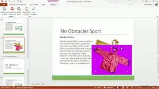 PowerPoint Tutorial - Removing the background from pictures