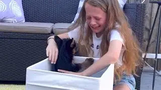 The girl was so excited when she met her dream dog🐶 Puppy Surprise!