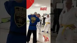 Yokomen Uchi Shiho nage