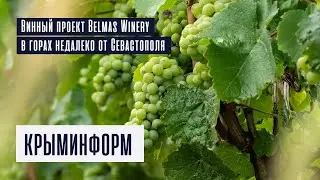 Винный проект Belmas Winery в горах недалеко от Севастополя