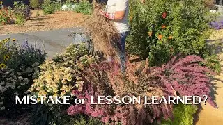 Deadheading, Clean Up & Learning From Mistakes!