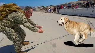 Most Heartwarming Animal Reunions with Humans That Will Melt Your Heart ❤