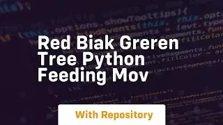 Red biak greren tree python feeding mov