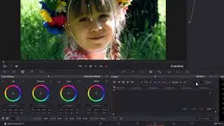 Davinci Reolve Tutorial 173 Controlling the Video   Your learning take away from this section