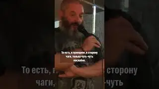 Что умеет гриб рейши