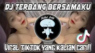 DJ TERBANG BERSAMAKU || VIRAL FYP TIKTOD MENGKANE!!