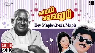 Hey Maple Chella Maple Song | Dharmam Vellum  | Ilaiyaraaja |  Vijayakanth |  Gautami | K S Chithra