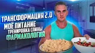 Трансформация 2.0 ПИТАНИЕ. ТРЕНИРОВКА СПИНЫ. ФАРМАКОЛОГИЯ. #еда #спорт #еда #бодибилдинг #сушка