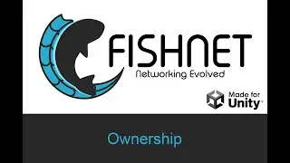 Ownership, Unity Multiplayer with Fish-Networking