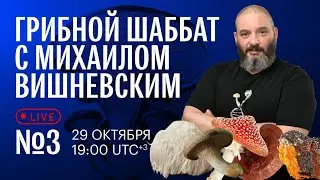 Грибной Шаббат с Михаилом Вишневским №3. Пара слов о свинушке