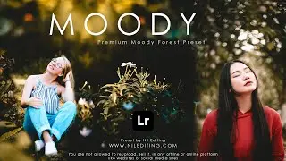 Special Forest Preset (Moody) - Lightroom Mobile Presets DNG & XMP Free Download