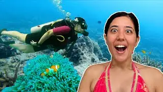 In ANDAMANS for my 3-day Basic Open Water scuba diving course! Diving in  India | Neil Island