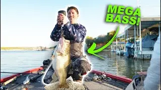 Am I Dreaming?? -- Hooked Up To a True MONSTER Bass!