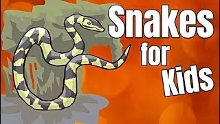 Snakes for Kids