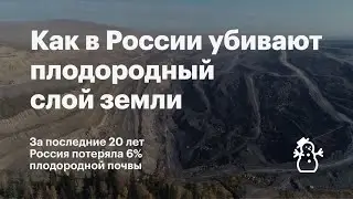 Как чиновники и промышленность в России убивают плодородный слой