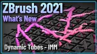 031 ZBrush 2021 Dynamic Cords and Tubes IMM Replacement