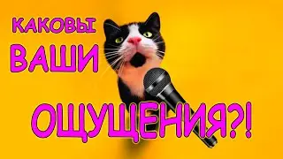 КАКОВЫ ВАШИ ОЩУЩЕНИЯ?! (03.20) Веселая Анюта (Бровченко).