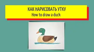 Как нарисовать утку - How to draw a duck