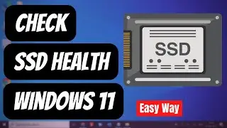 How To Check SSD Performance On Windows 11 (Quick & Easy)