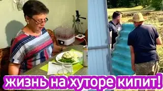 Сегодня ударно поработали и можем хорошо отдохнуть! Я забралась в омшаник На ужин треска по-польски