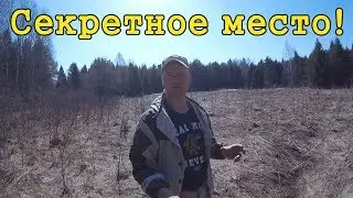 Там были найдены самые ДОРОГИЕ находки! Metal detecting