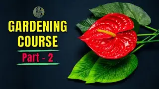 COMPLETE GARDENING COURSE – PART 2 | INDOOR GARDENING + LEARN ADVANCED GARDENING