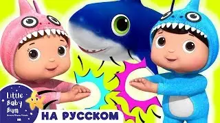 Малыш акула - дети танцуют | Хорошие Привычки для детей | ABCs 123s | Little Baby Bum