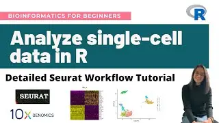 How to analyze single-cell RNA-Seq data in R | Detailed Seurat Workflow Tutorial